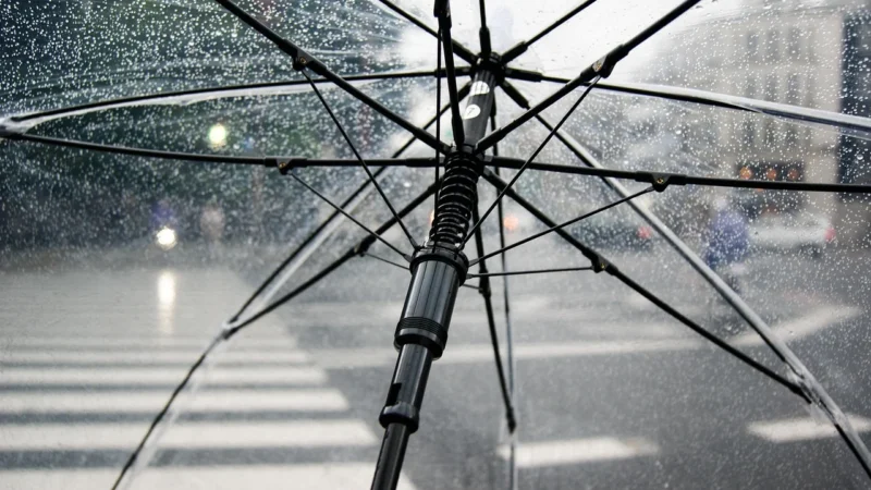Automatyczny parasol składany Wali 21″