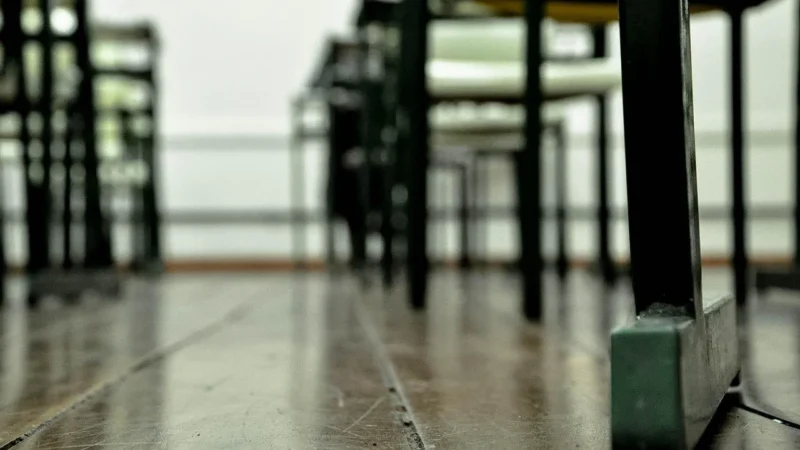 Barberini’S Portfele Damskie Skórzane – Fuksja