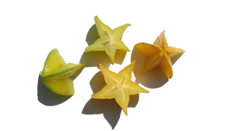 BIG STAR Saszetka JJ574089 Szary