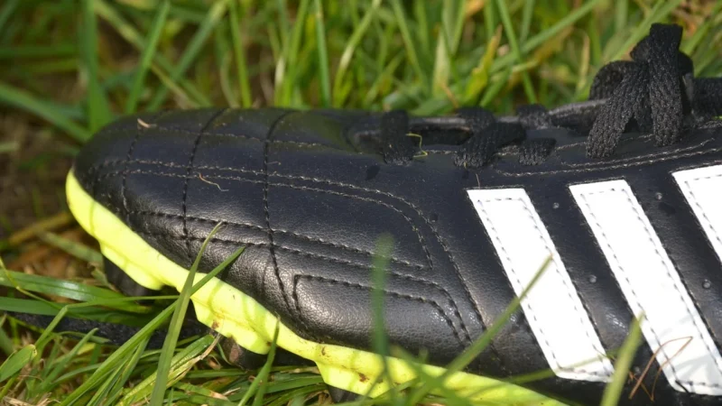 Buty piłkarskie adidas Predator Freak.3 FG FY1031