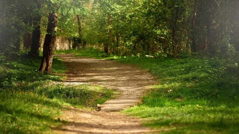 Call It Spring torebka Rubi kolor beżowy