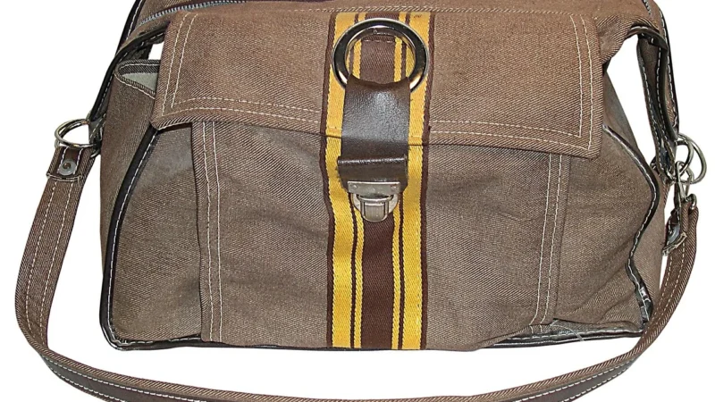 Coccinelle Wymienny pasek do torebki LZ6 Shoulder Strap E3 LZ6 68 05 03 Pomarańczowy