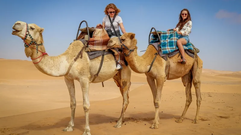 Duża włoska listonoszka A4 , worek na ramię ,zamsz naturalny ,Camel WAF567C