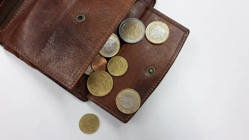 Elegancka banknotówka ze skóry naturalnej — Peterson