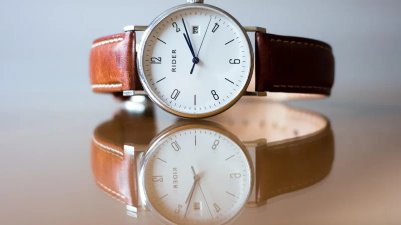 Eleganckie Torebki SKórzane Listonoszki w motyw węża Jasno Szare (kolory)