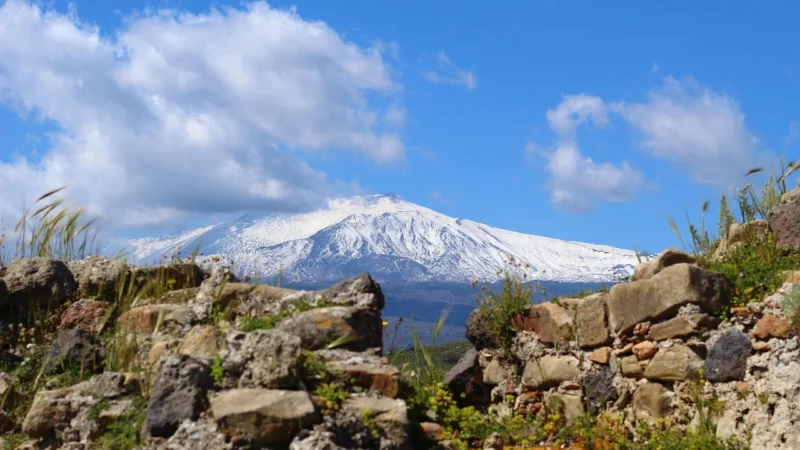 Etna Lady 371 Kostium Kąpielowy Jednoczęściowy