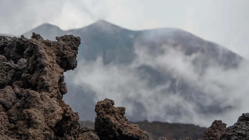 Etna Lady Komfortowy Markowy Strój Kąpielowy Na Lata