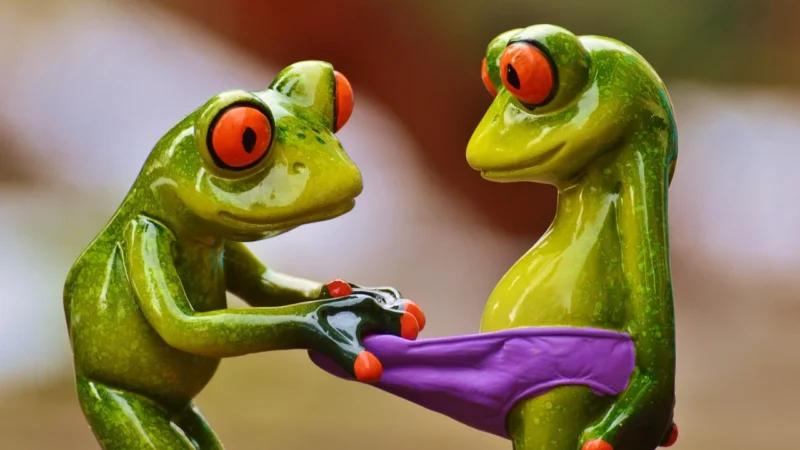 Karl Lagerfeld slipy męskie kolor czarny