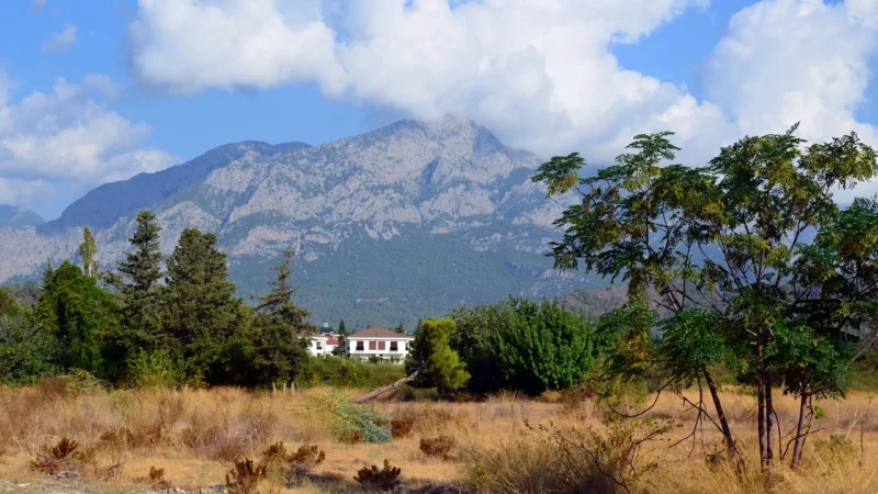 Kemer Listonoszka,Chlebak,Przewieszka Vera Pelle Klapka Zamsz Czerwona Lvp399R