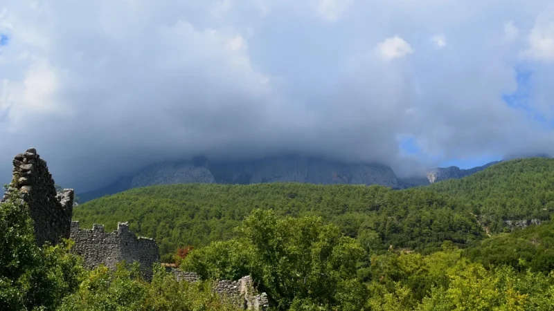 Kemer Plecak Zielony