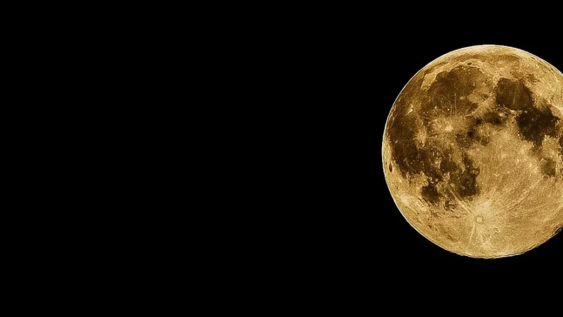 Luna Dres męski 890 czarny L bawełniany rozpinany z kapturem