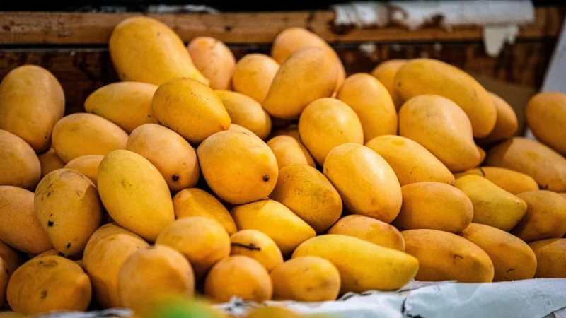 Mango Torebka Davos 27032525 Pomarańczowy