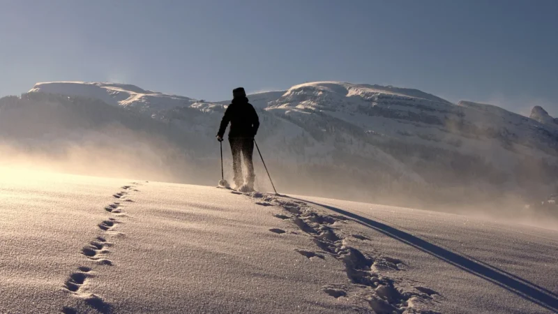 Męskie sandały trekkingowe 4F H4L22 SAM001 szary 25S 46