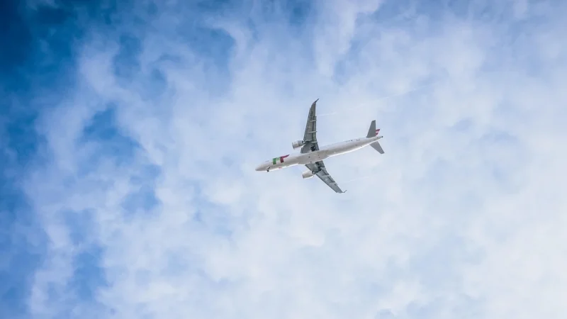 ’Pilotka skórzana LOTNIK – Skóra licowa Brązowy