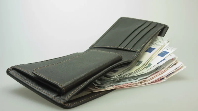 Pionowy skórzany portfel męski z etui na dokumenty — Peterson
