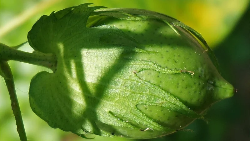 Poręczna torebka w miejskim stylu z naturalnej włoskiej skóry
