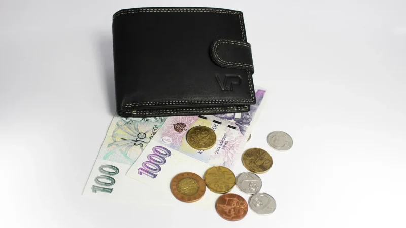 Skórzany portfel z podwójną kieszenią na banknoty — Peterson