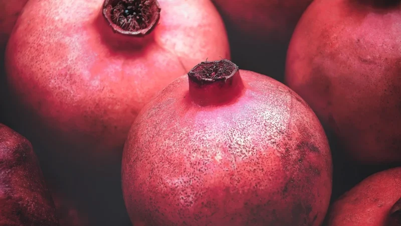 Torebka skórzana TWR 105 CRO GRANAT logo b.rabatu