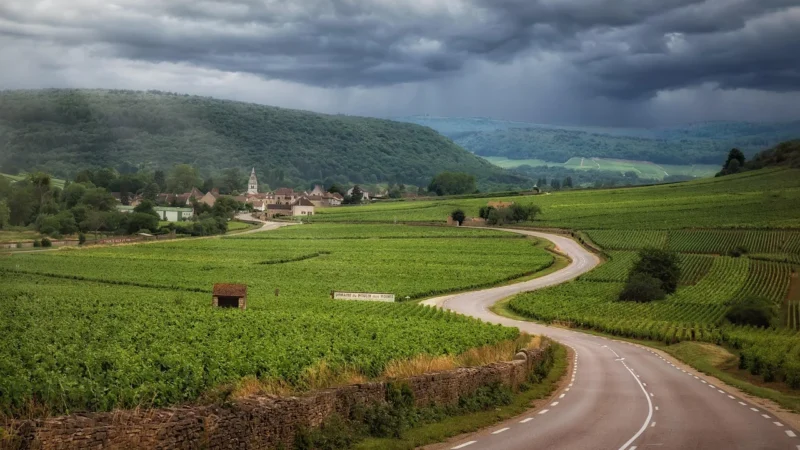 Torebka ze skóry naturalnej – listonoszka – Bordowa – Bordowy