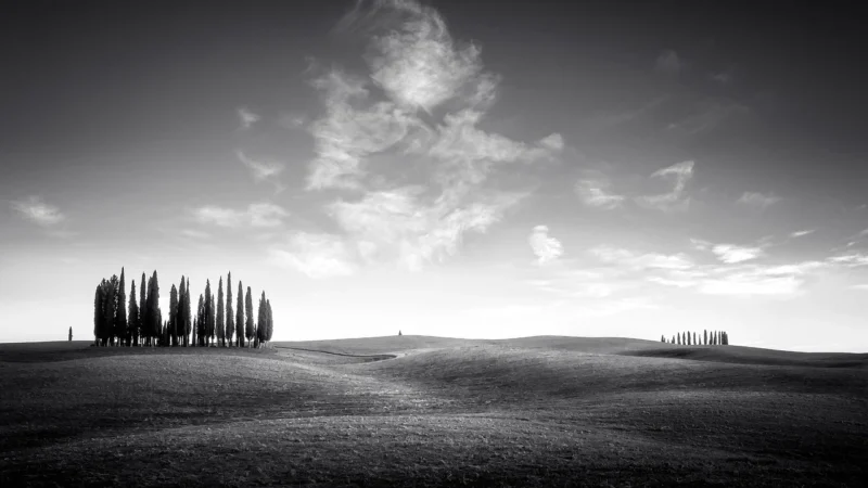 Tuscany – Fiorenza – Chestnut