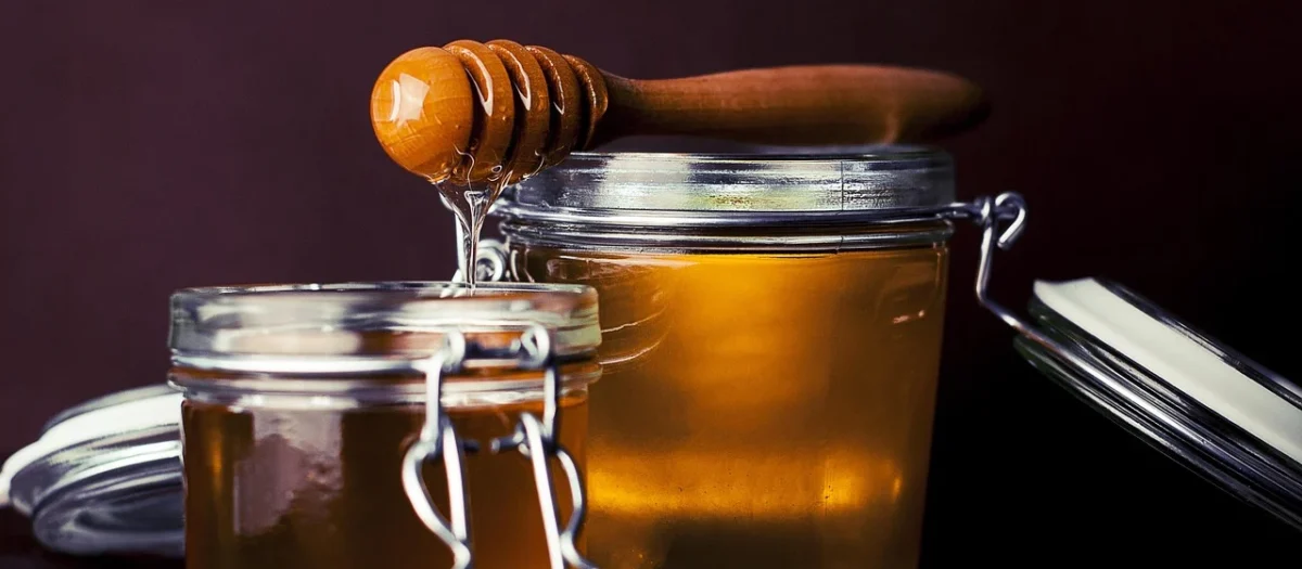 Tuscany – Leonardo – Honey
