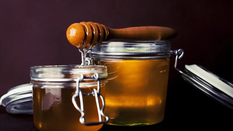 Tuscany – Leonardo – Honey