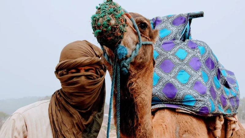 Vezze Torba Worek Zamsz Naturalny Z Frędzlami Camel 150