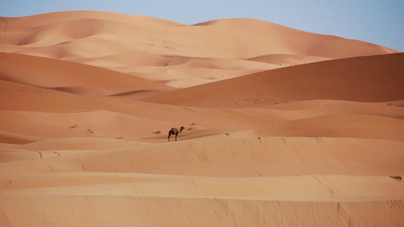 Zamszowa listonoszka miękka torebka damska frędzle boho – camel